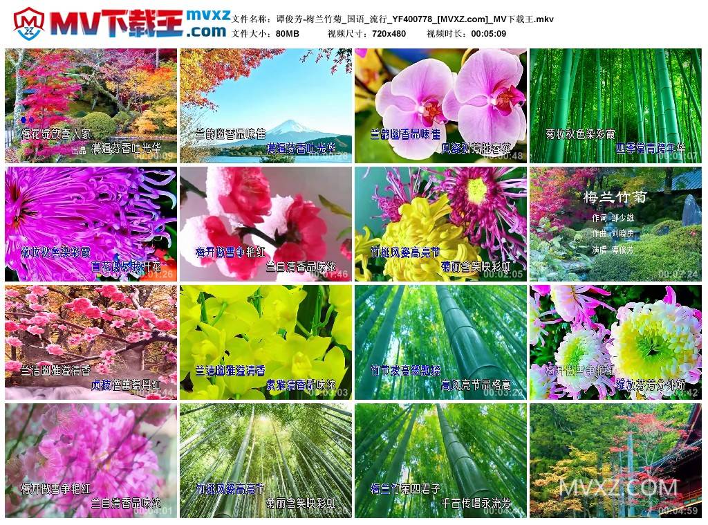 谭俊芳-梅兰竹菊_国语_流行_YF400778